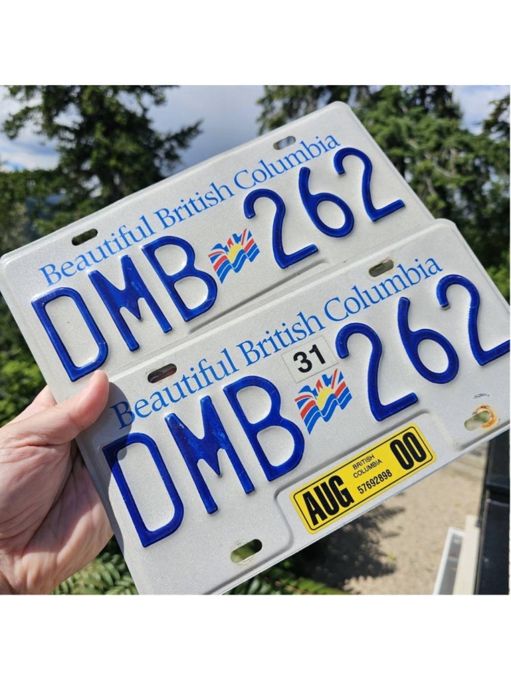 Vintage BC License Plates Pair DMB 262 Beautiful British Columbia Aug 2000 Tags